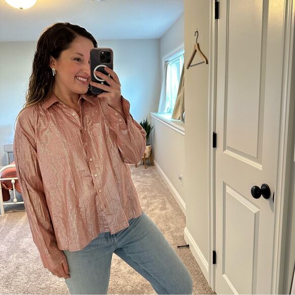 Xirena Pink Metallic Striped Button Front Blouse Small - Picture 2 of 11
